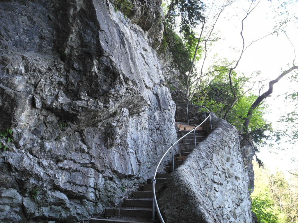 DSCN3084_JPG-1335723288