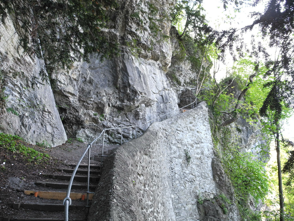 DSCN3085_JPG-1335723331