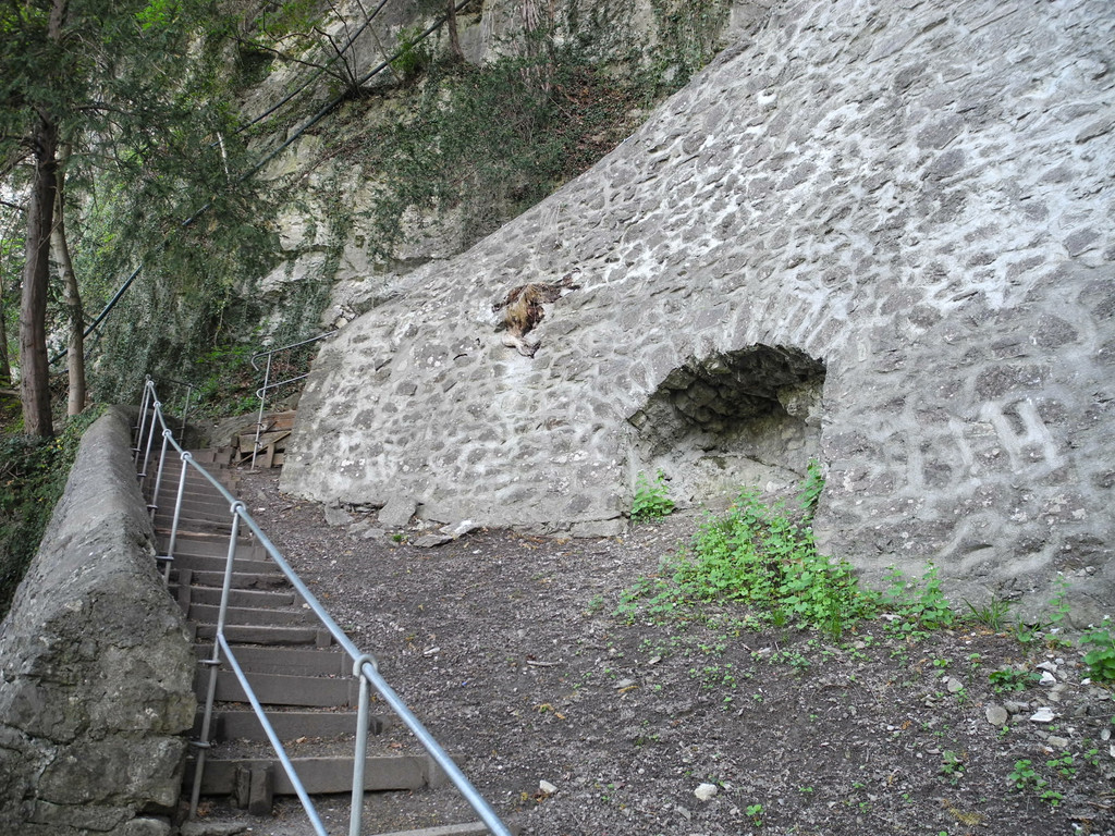 DSCN3086_JPG-1335723367