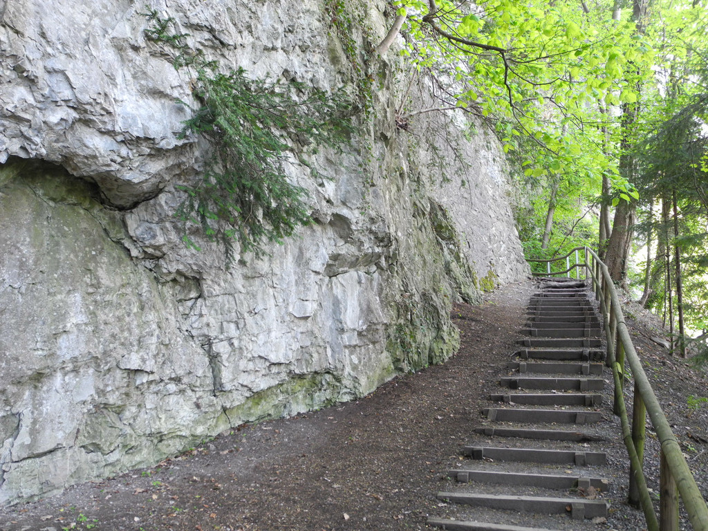 DSCN3087_JPG-1335723402