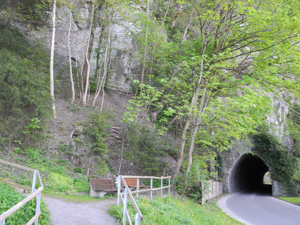 DSCN3088_JPG-1335723444