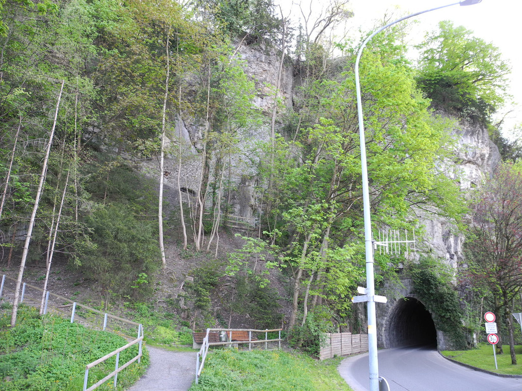 DSCN3090_JPG-1335723506