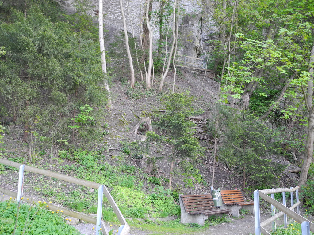 DSCN3091_JPG-1335723542