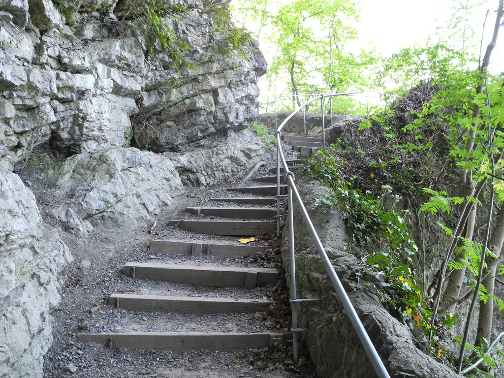 DSCN3096_JPG-1335723699