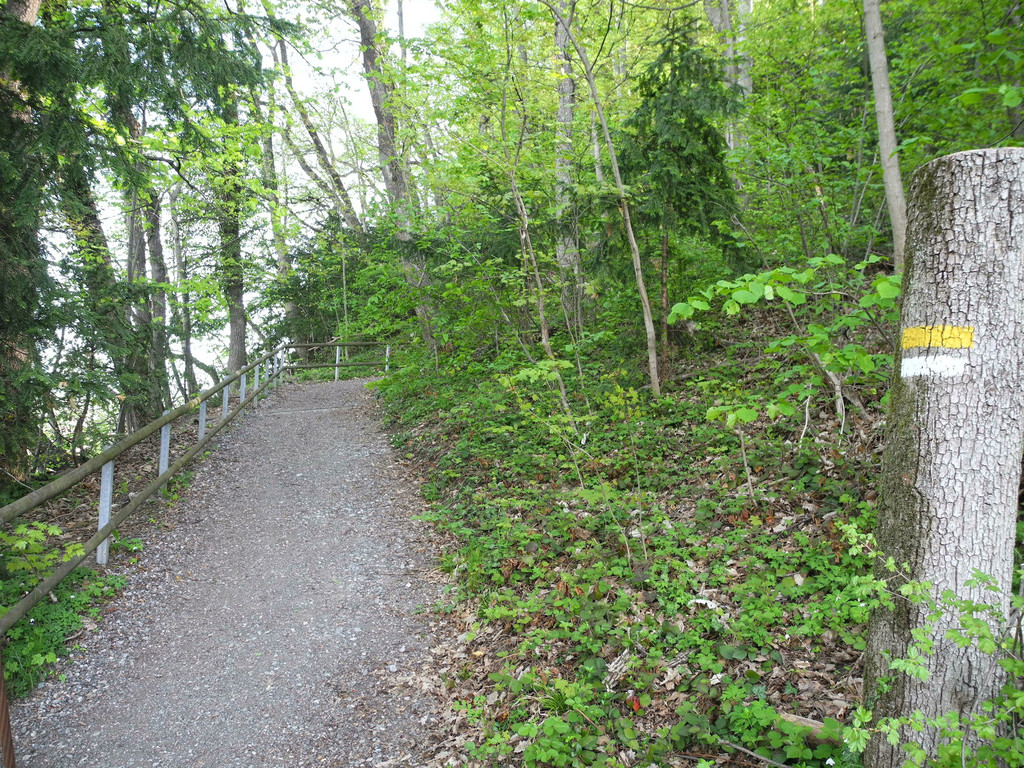 DSCN3098_JPG-1335723776