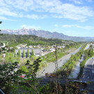 DSCN3100_JPG-1335723841