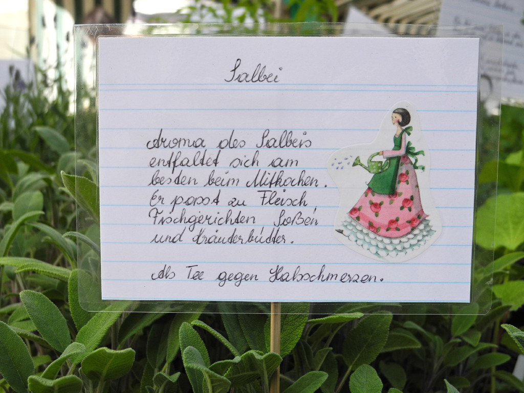 DSCN3112_JPG-1335725331