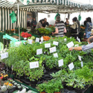 DSCN3111_JPG-1335725315