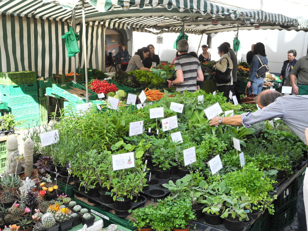 DSCN3111_JPG-1335725315