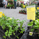 DSCN3120_JPG-1335725508