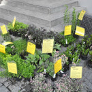 DSCN3124_JPG-1335725638