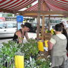 DSCN3123_JPG-1335725603