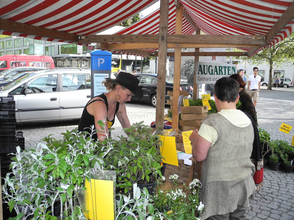 DSCN3123_JPG-1335725603