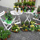 DSCN3134_JPG-1335725868