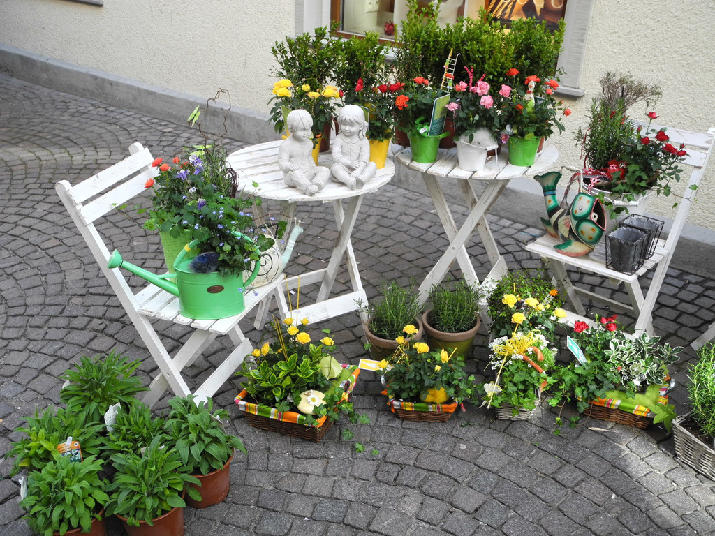 DSCN3134_JPG-1335725868