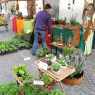 DSCN3135_JPG-1335725900