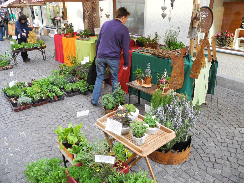 DSCN3135_JPG-1335725900