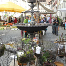 DSCN3108_JPG-1335725254