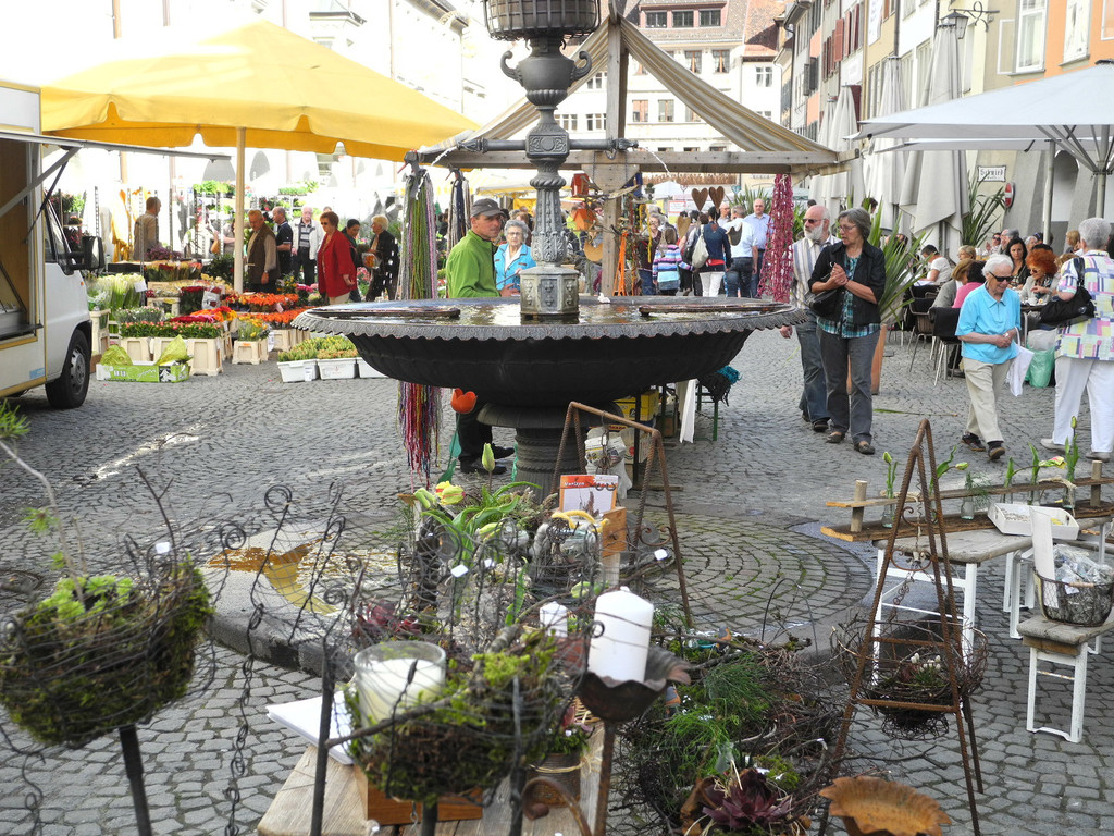 DSCN3108_JPG-1335725254