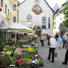 DSCN3109_JPG-1335725281