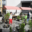 DSCN3119_JPG-1335725479