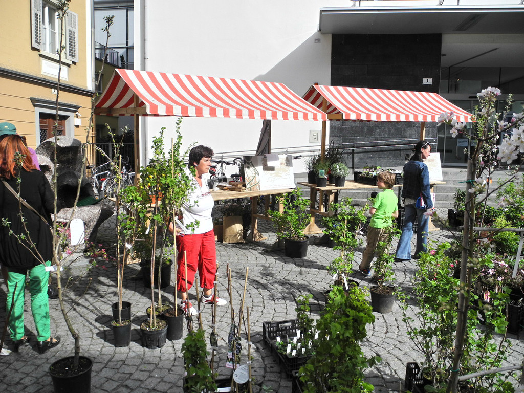 DSCN3119_JPG-1335725479