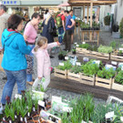 DSCN3125_JPG-1335725674