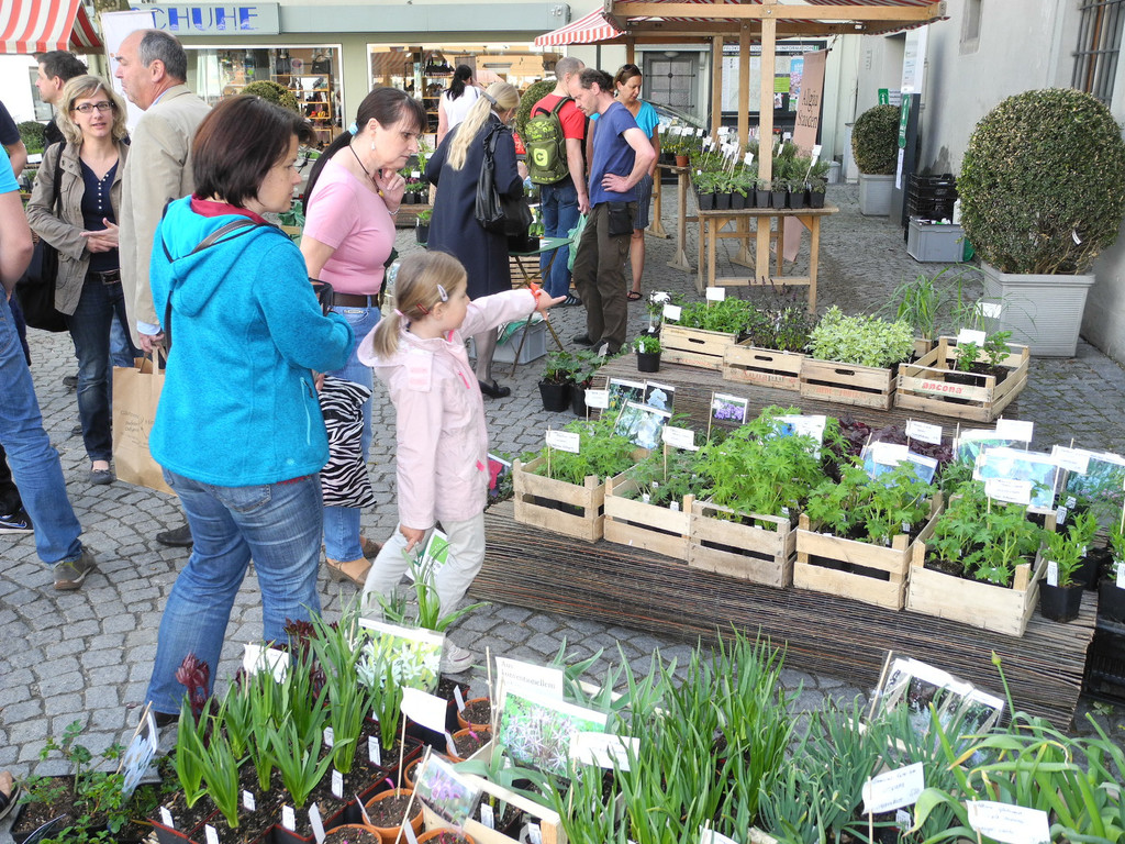 DSCN3125_JPG-1335725674