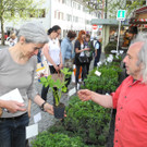 DSCN3126_JPG-1335725701