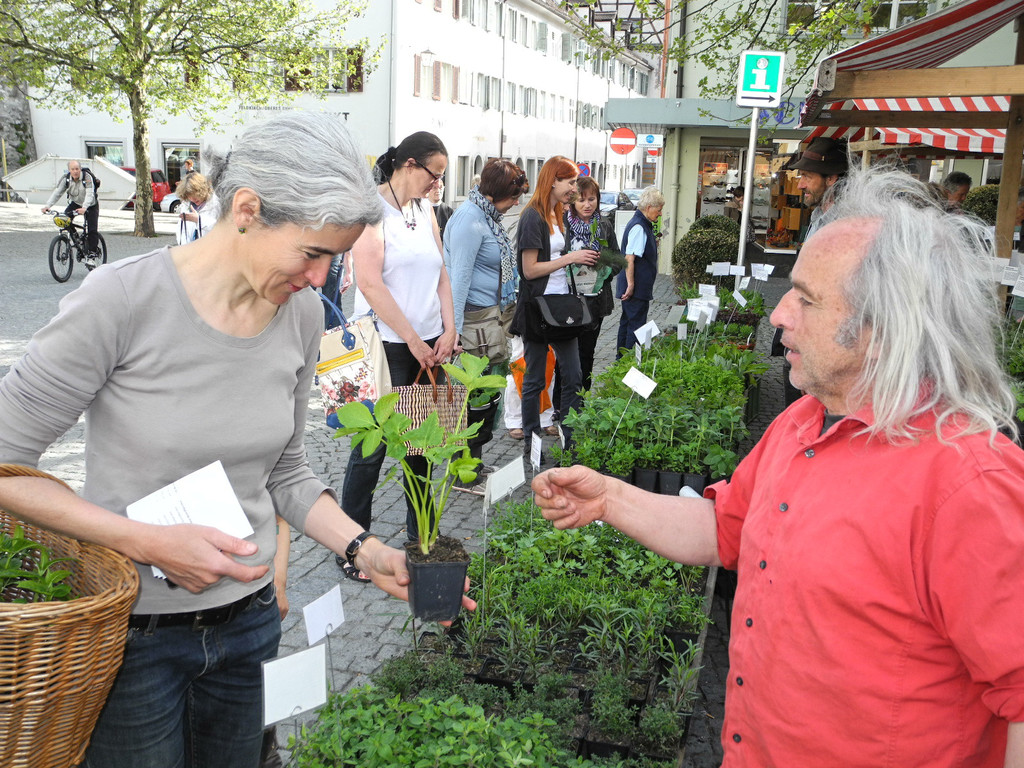 DSCN3126_JPG-1335725701