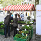 DSCN3130_JPG-1335725779