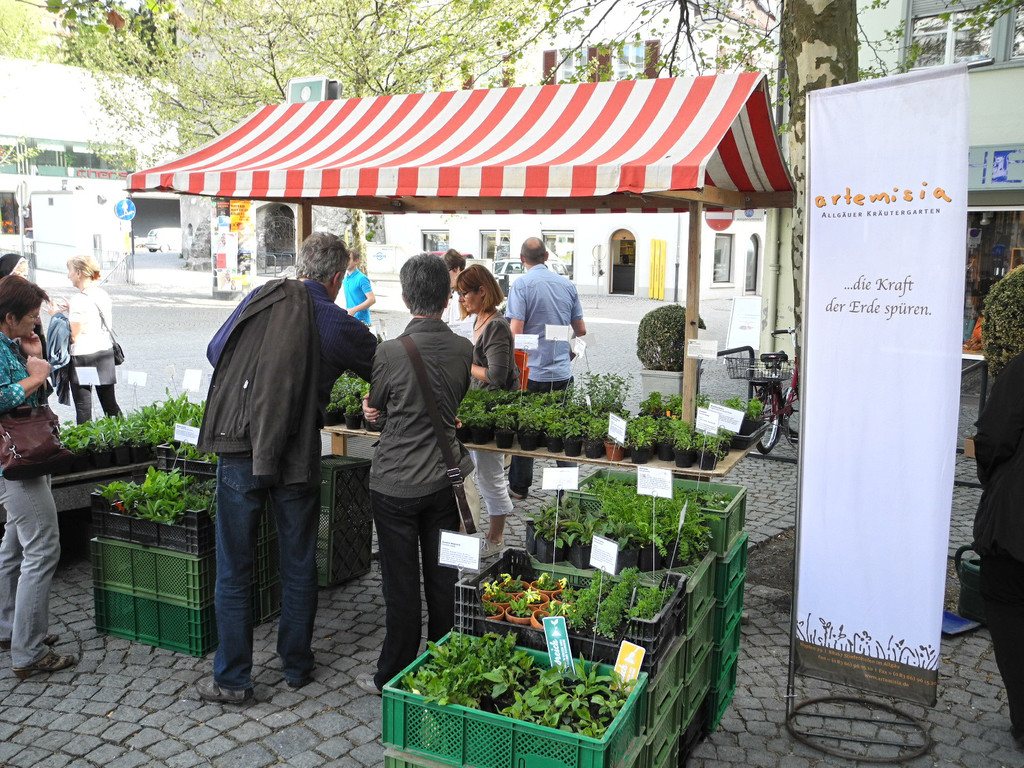 DSCN3130_JPG-1335725779