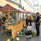 DSCN3131_JPG-1335725807