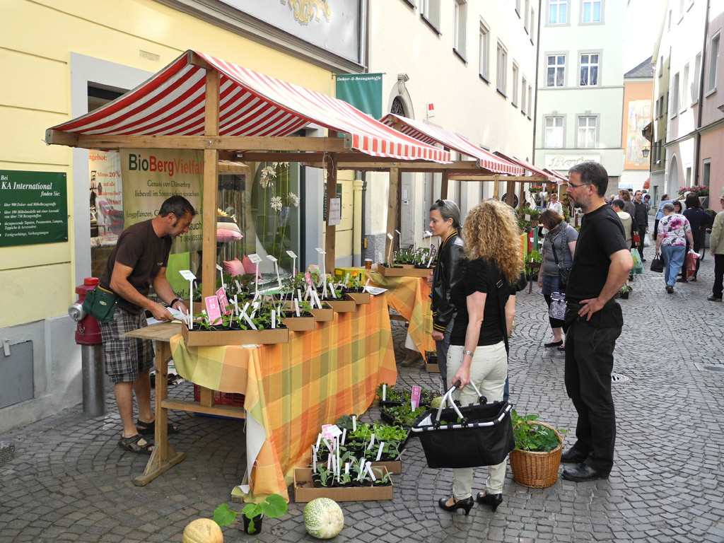 DSCN3131_JPG-1335725807