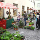 DSCN3133_JPG-1335725836