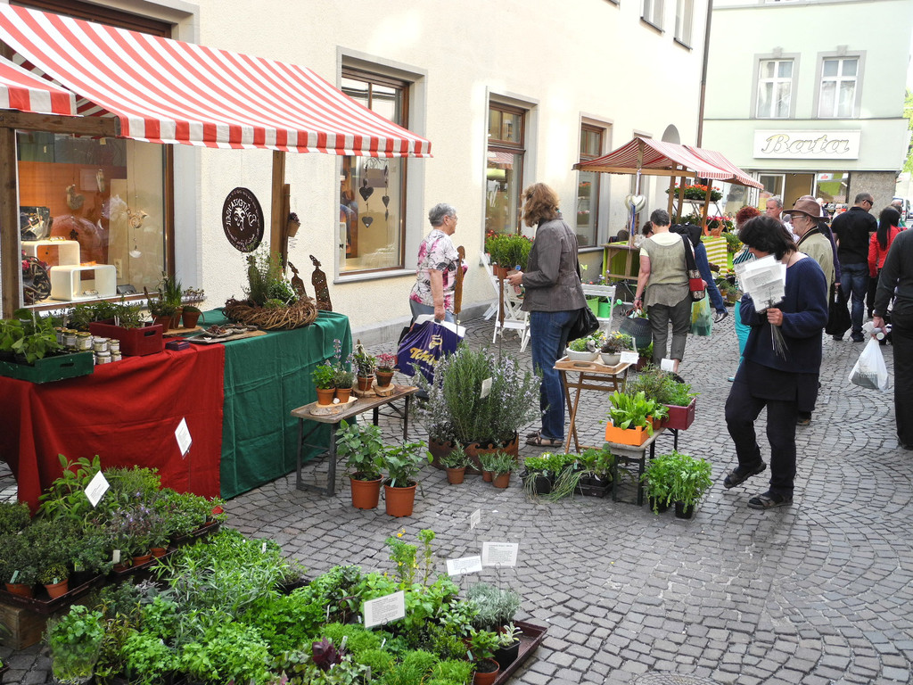 DSCN3133_JPG-1335725836