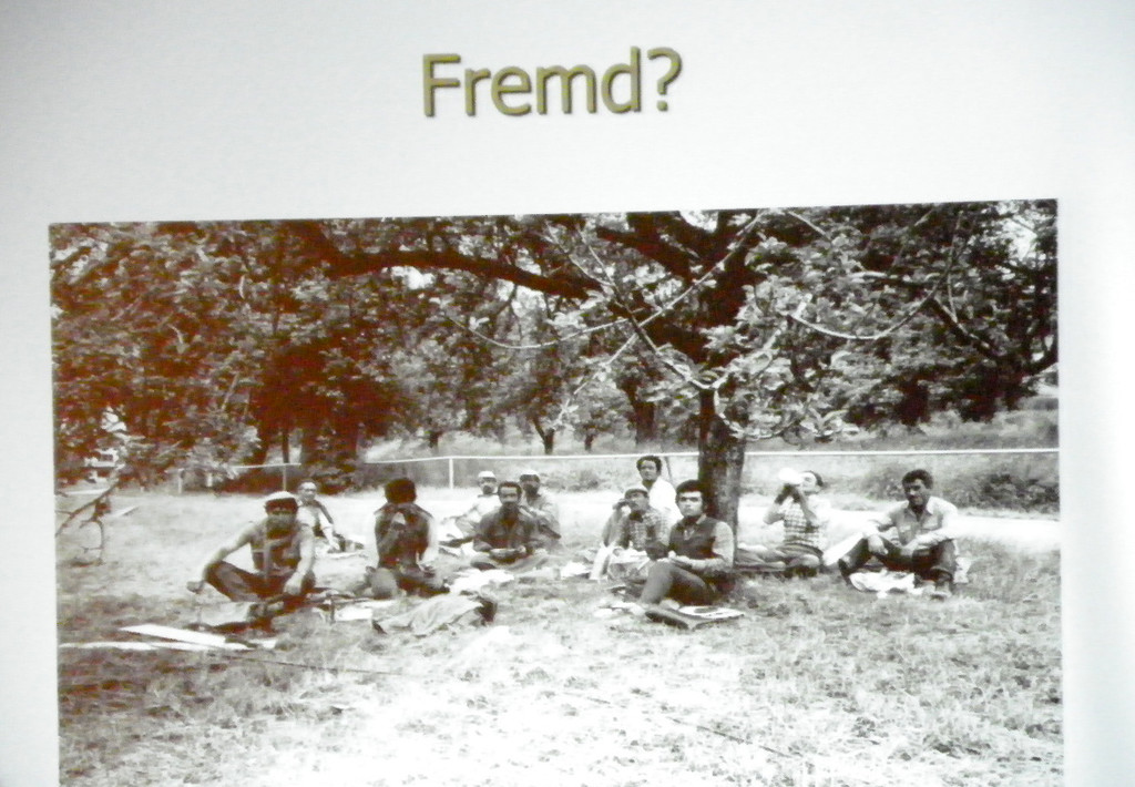 114_3477_JPG-1335739286