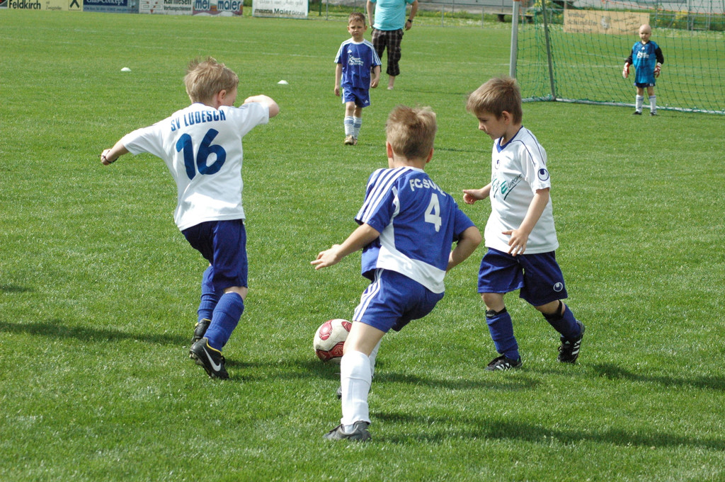 DSC_2950_JPG-1335760997