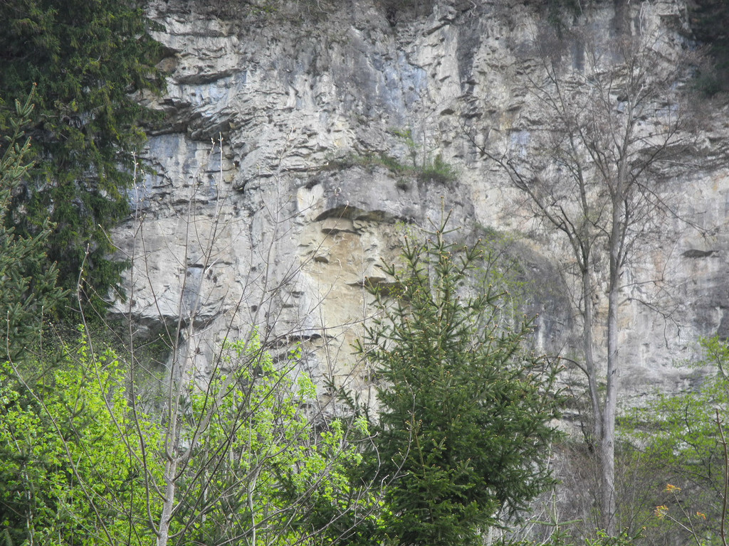 DSCN3052_JPG-1335763841