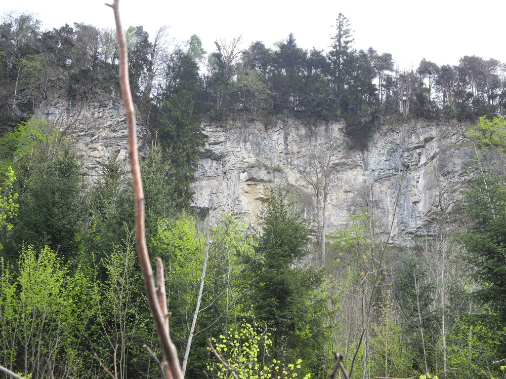 DSCN3053_JPG-1335763869