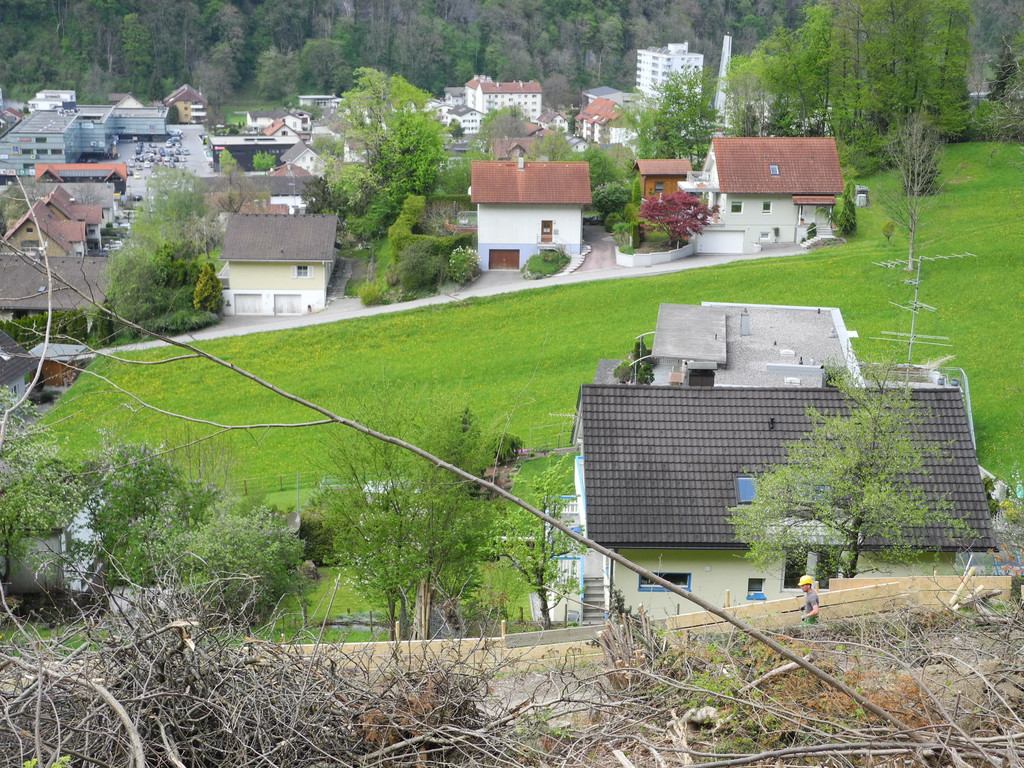 DSCN3059_JPG-1335763983