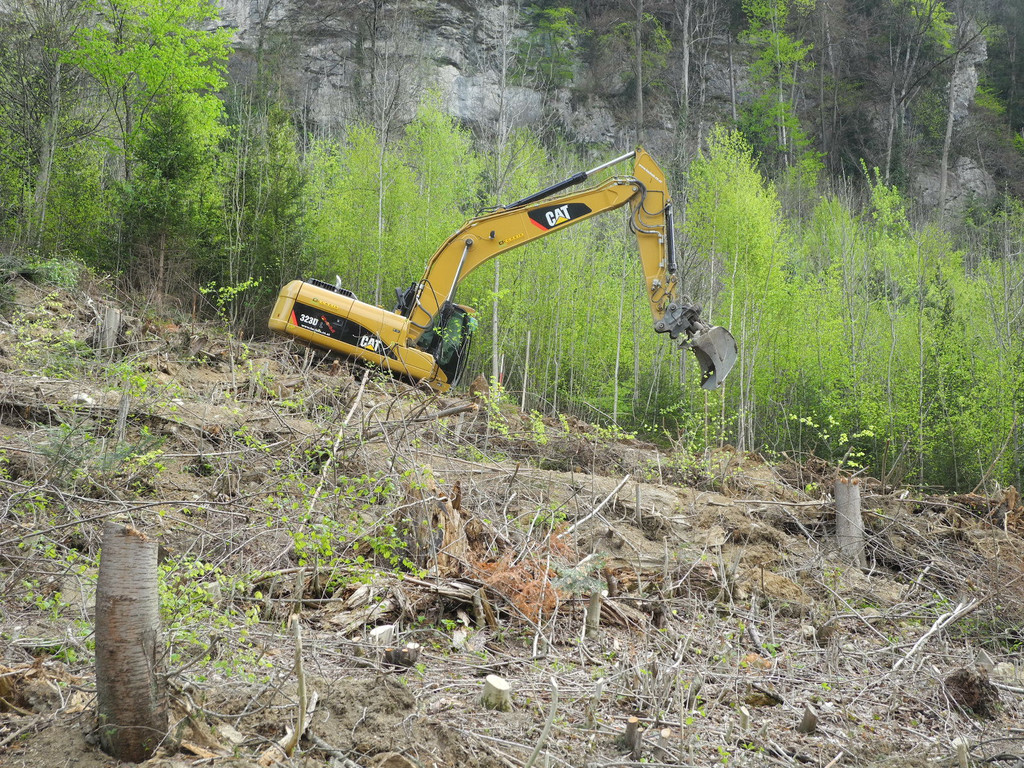 DSCN3064_JPG-1335764075