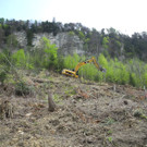 DSCN3065_JPG-1335764103