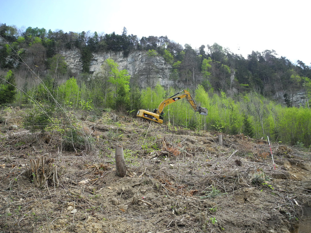 DSCN3065_JPG-1335764103