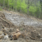 DSCN3066_JPG-1335764136