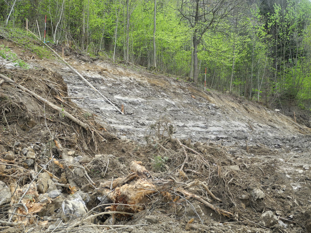 DSCN3066_JPG-1335764136