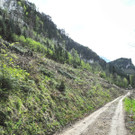 DSCN3078_JPG-1335764334