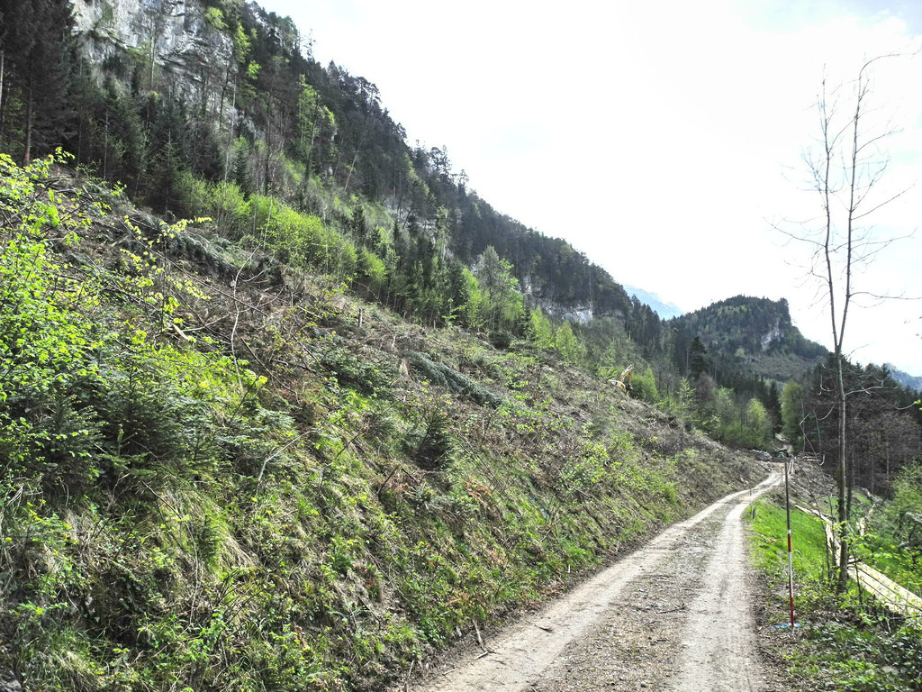 DSCN3078_JPG-1335764334