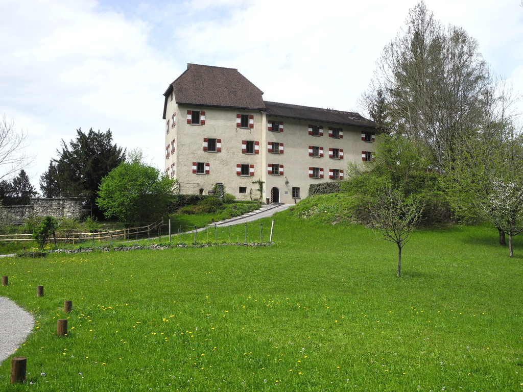 DSCN3079_JPG-1335764359