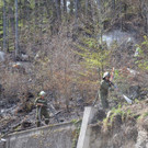 DSC_0071_Gr____enver__nderung.jpg